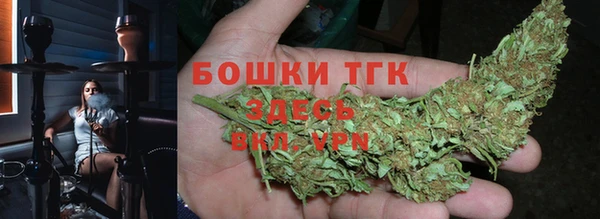 крисы Снежногорск
