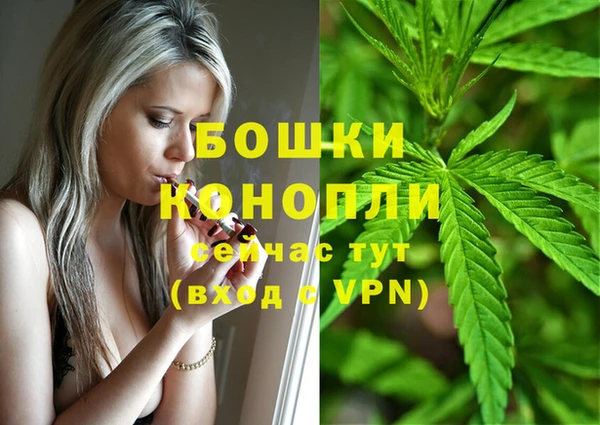 mdpv Снежинск