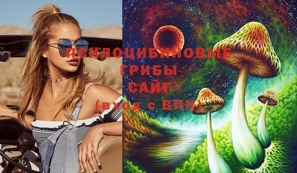 mdpv Снежинск