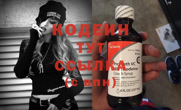крисы Снежногорск