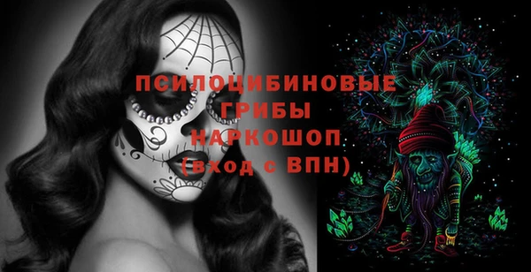 крисы Снежногорск