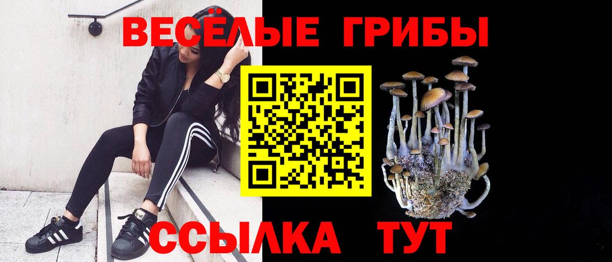Галлюциногенные грибы мицелий Великий Устюг