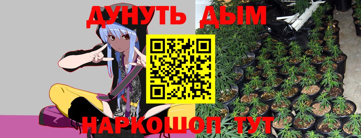 МАРИХУАНА Bruce Banner  Канабис тримм  Великий Устюг  Вход с VPN  Бошки марихуана марихуана 
